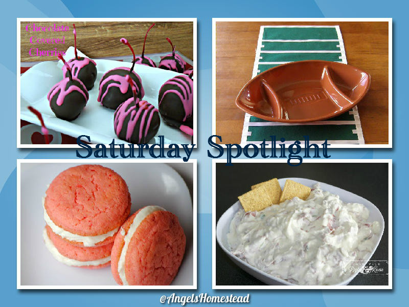 Saturday Spotlight Features Saturday Spotlight Features