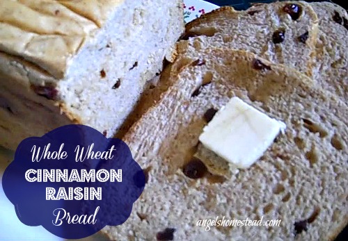 Whole Wheat Cinnamon Raisin Bread