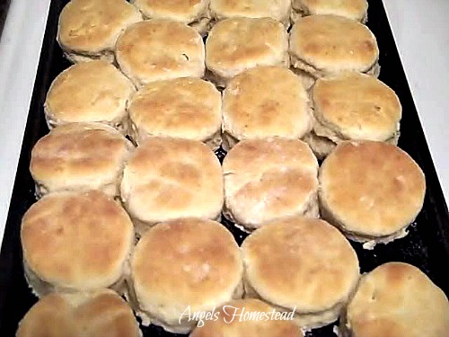 Baked Biscuits