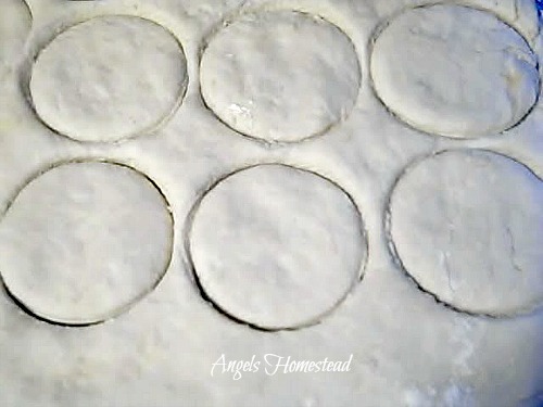 Biscuit Dough