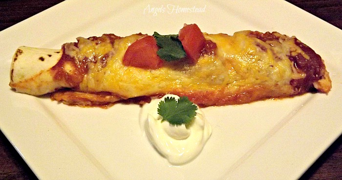 Chicken Enchilada