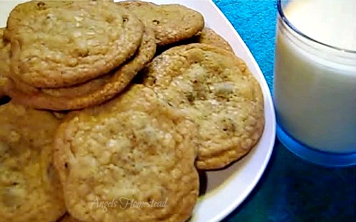 Chocolate Chip Cookies
