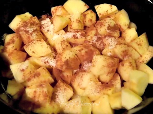 Crock Pot Applesauce