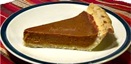 Spicy Pumpkin Pie