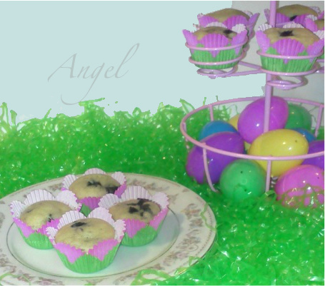 Springtime Blueberry Muffins