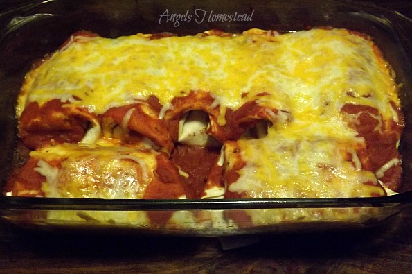 Ground Beef Enchiladas
