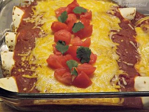 Chicken Enchiladas