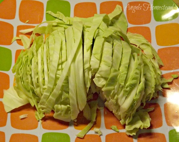 Sliced Cabbage