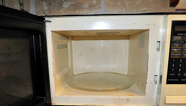 Dirty Microwave
