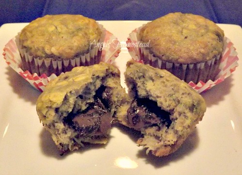 Nutella-Filled-Banana-Oat-Muffins