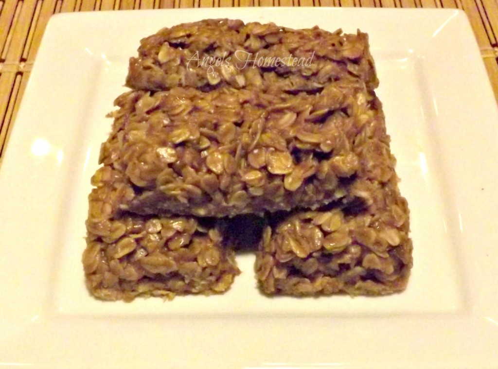 Peanut Butter Oat Bars