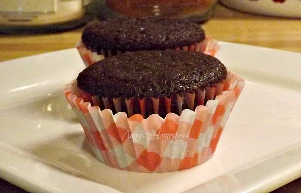 Brownie Muffins
