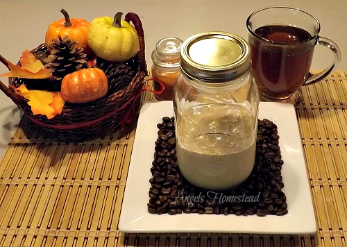 Pumpkin Spice Creamer Pumpkin Spice Creamer