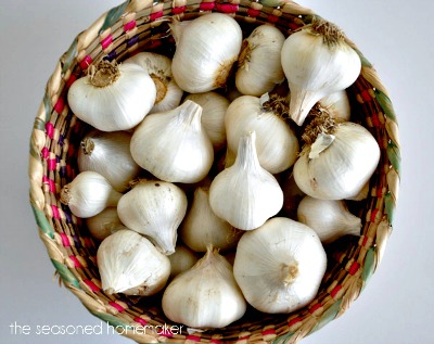 How To Grow Garlic
