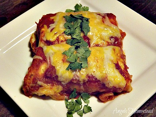 Ground Beef Enchiladas