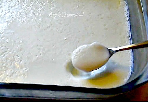 Homemade Yogurt