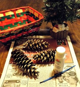 Pine Cones and Paint