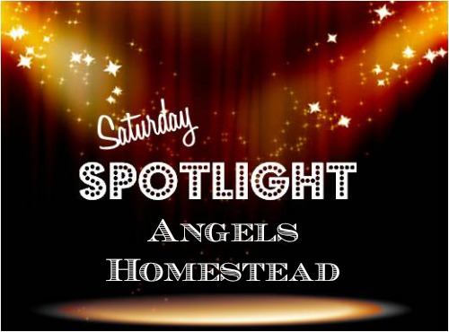 Saturday Spotlight
