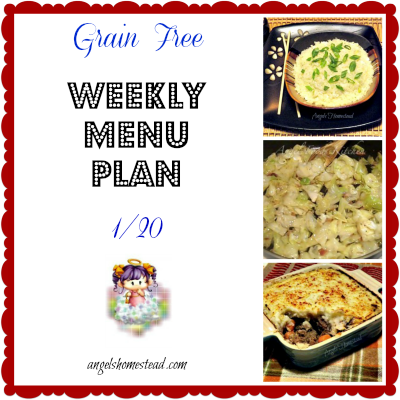 Weekly Menu Plan 1/20