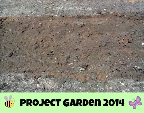 Project Garden 2014