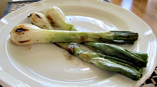 Grilled Green Onions