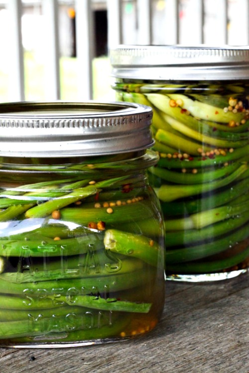 Pickled Garlic Scapes