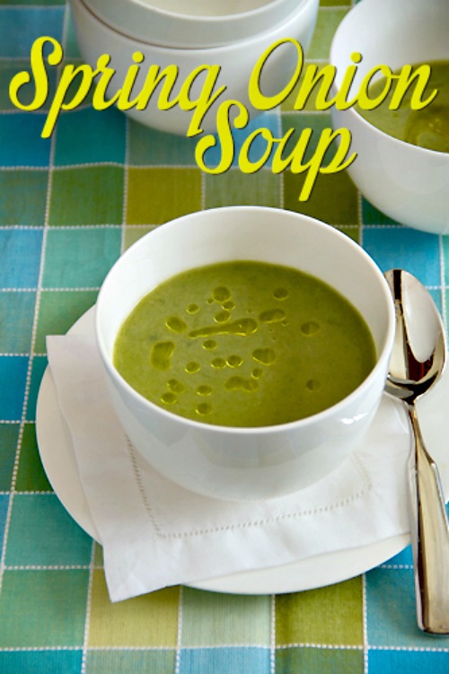 Spring Onion Soup